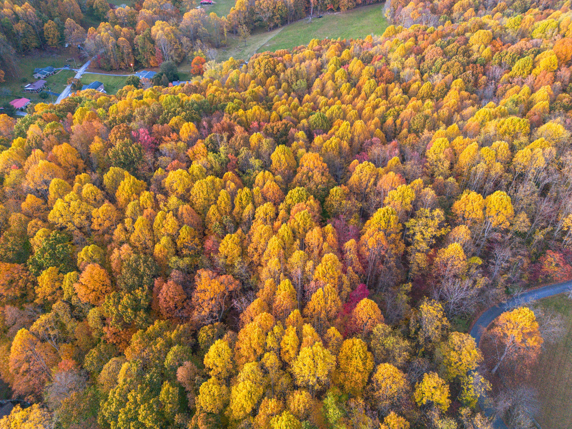 Autumn landscape photographed from above by Gibson Creations
